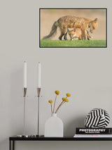 Playing Under Mother Poster och Canvastavla