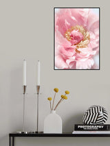 Blush peony I Poster och Canvastavla