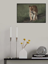 Poster och Canvastavla