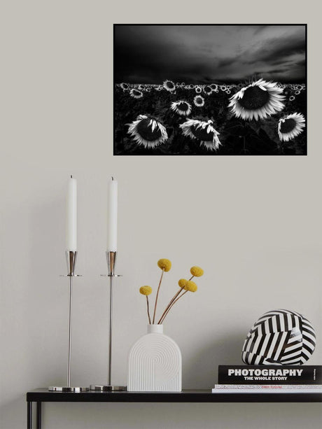 Sunflowers Poster och Canvastavla