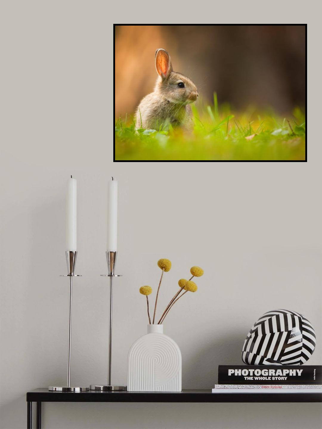 Rabbit Poster och Canvastavla