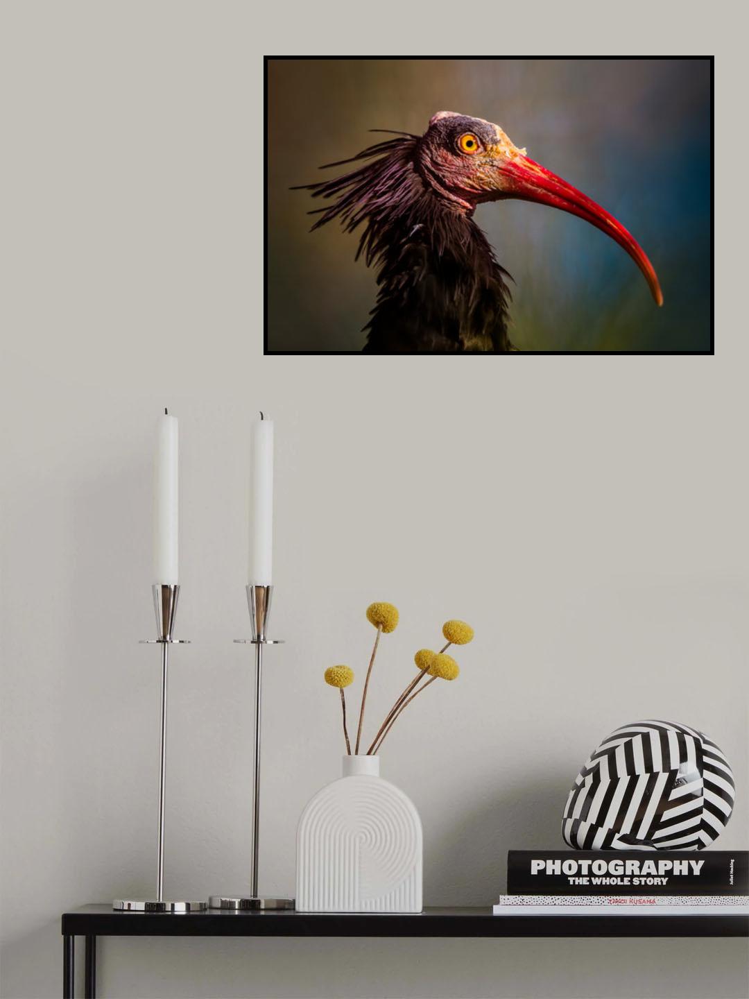 Splendorous Beauty Poster och Canvastavla