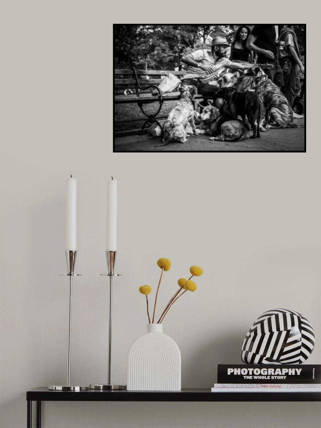 dogs- manhattan Poster och Canvastavla