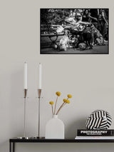 dogs- manhattan Poster och Canvastavla