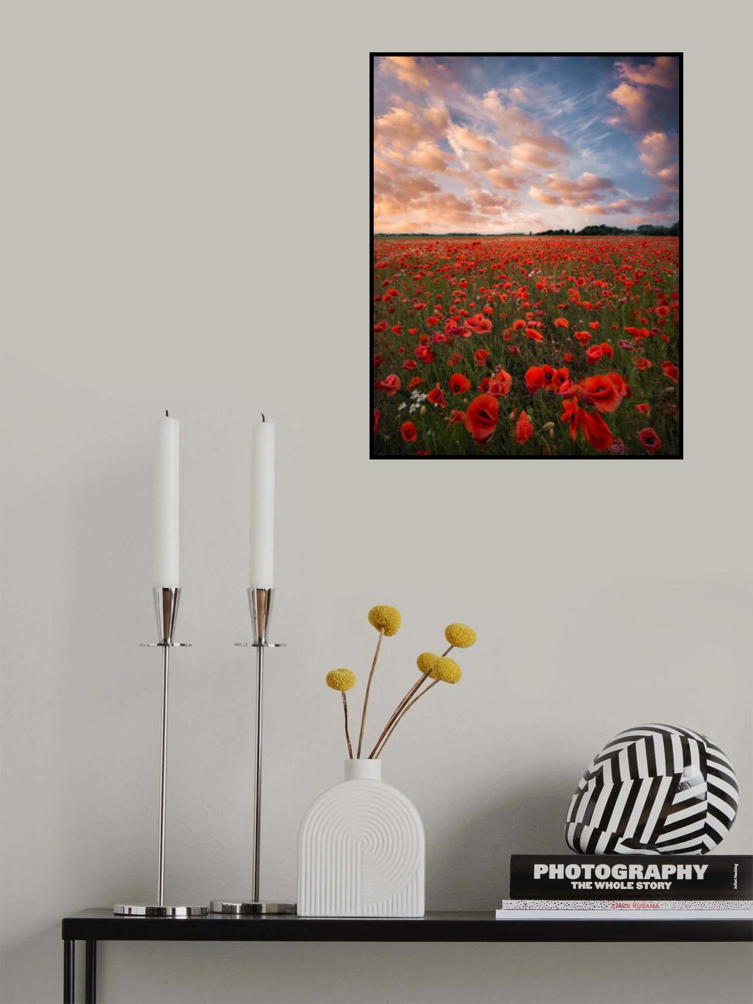 Poppy field in Sweden Poster och Canvastavla