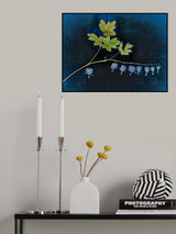 Life on a Limb Poster och Canvastavla