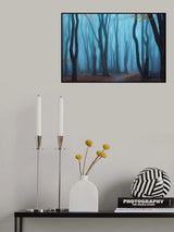 Misty forest Poster och Canvastavla