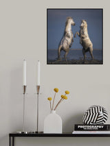 Confrontation Poster och Canvastavla