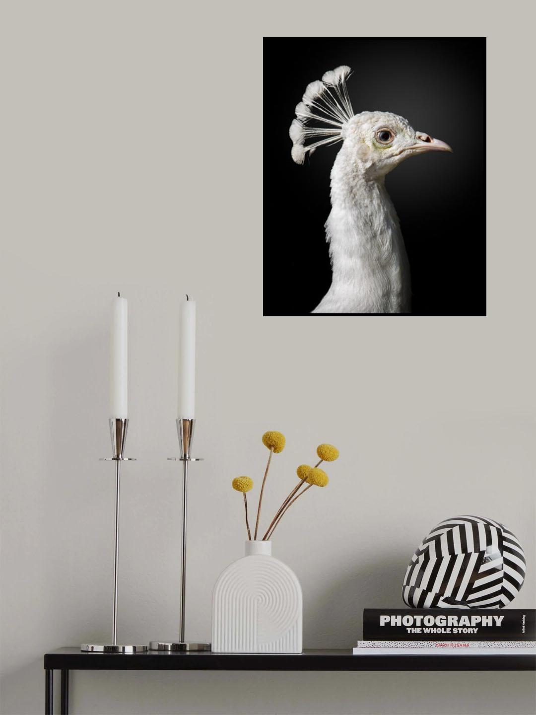 M A J E S T I C Poster och Canvastavla