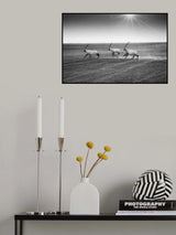 Late in the afternoon Poster och Canvastavla