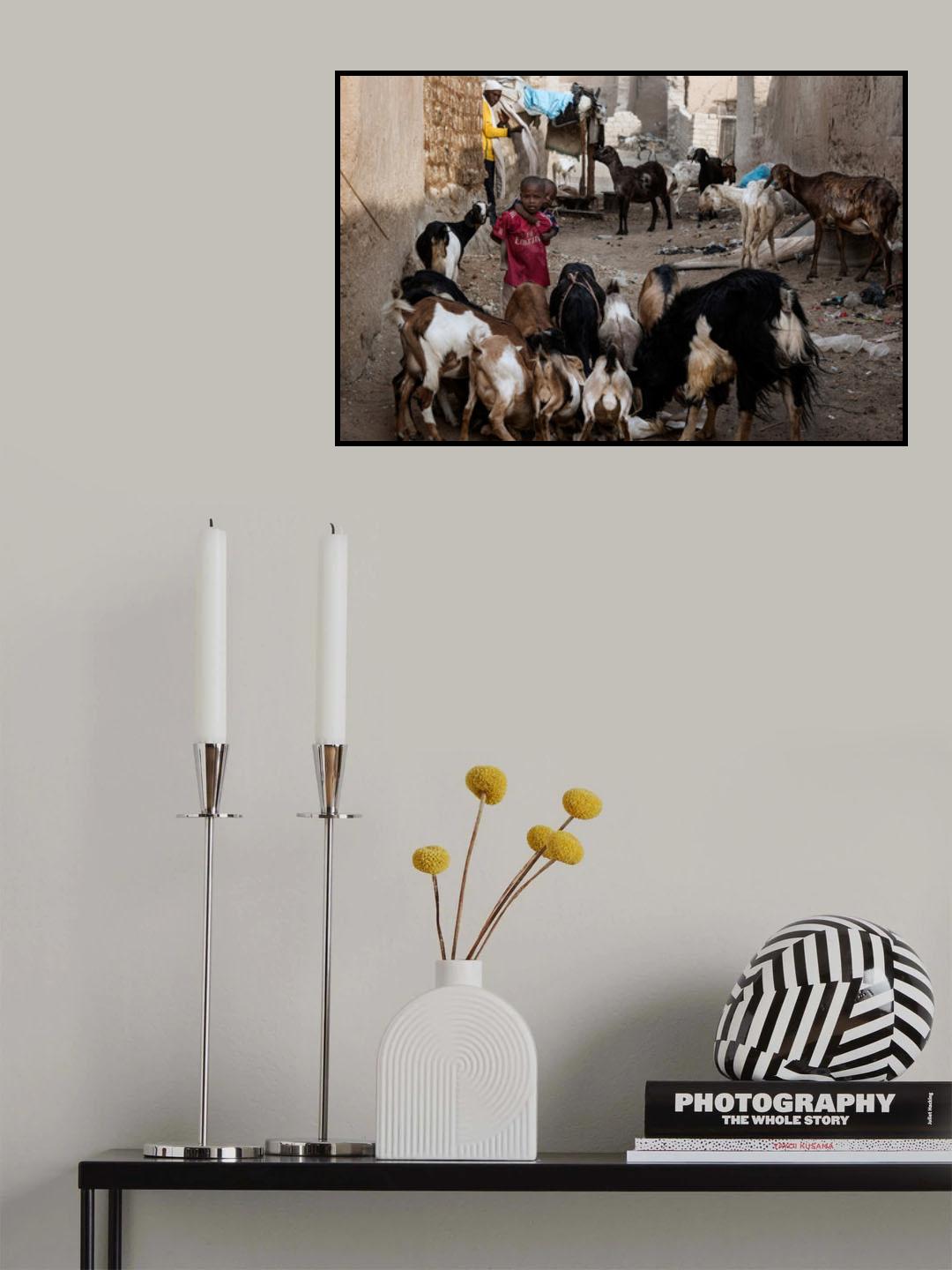 Poster och Canvastavla
