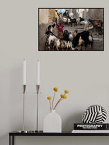 Poster och Canvastavla