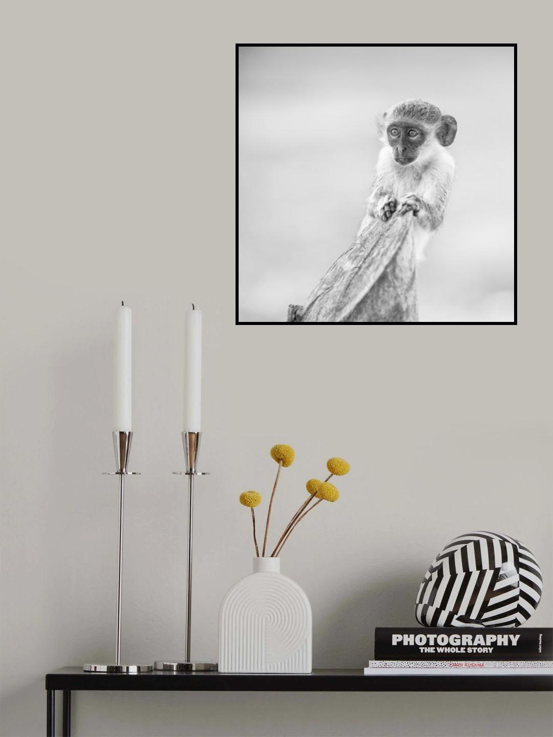 Monkey Portrait Poster och Canvastavla