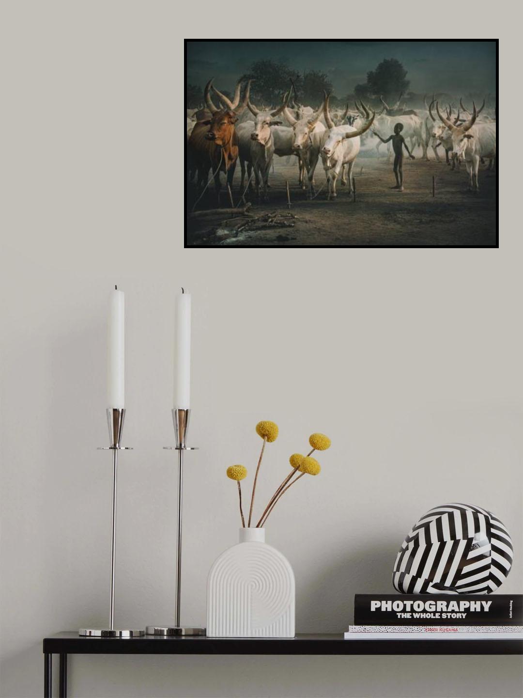 Mundari cattle camp-Child Poster och Canvastavla