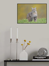 Looking Poster och Canvastavla