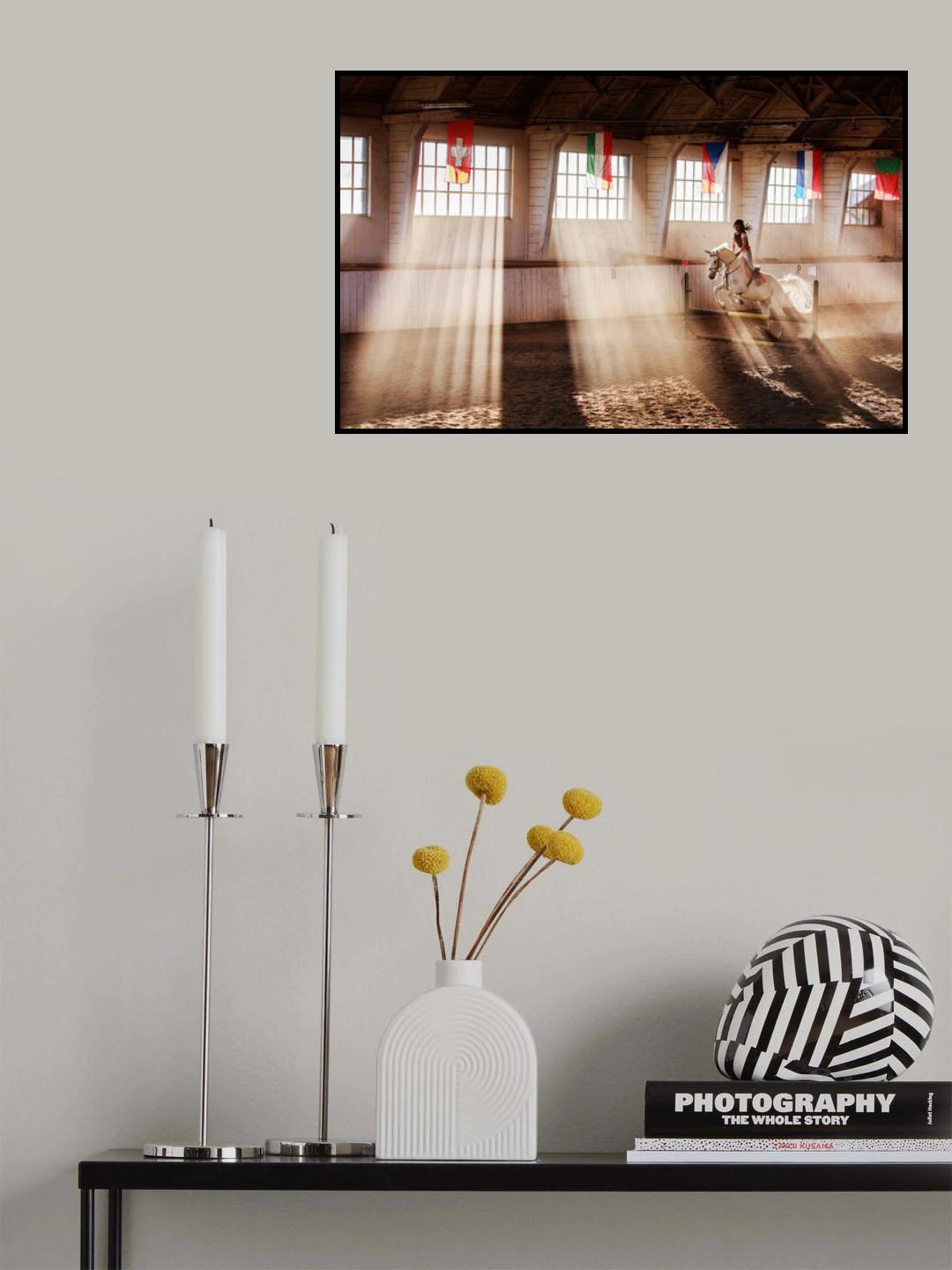 The White Stallion Poster och Canvastavla