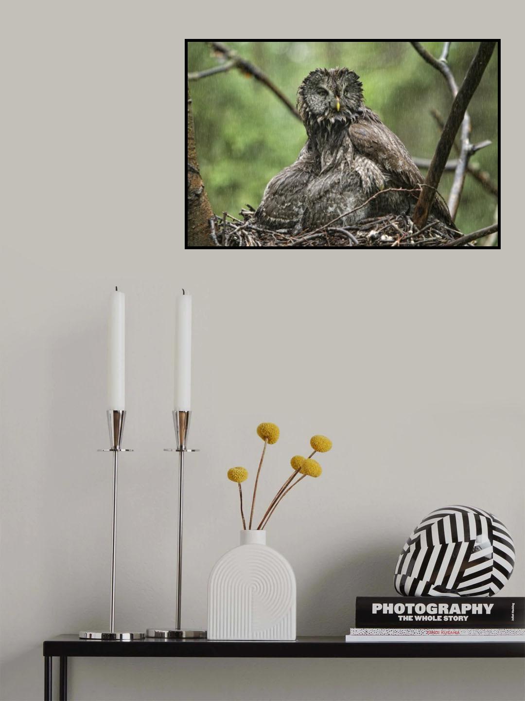 Survival Poster och Canvastavla
