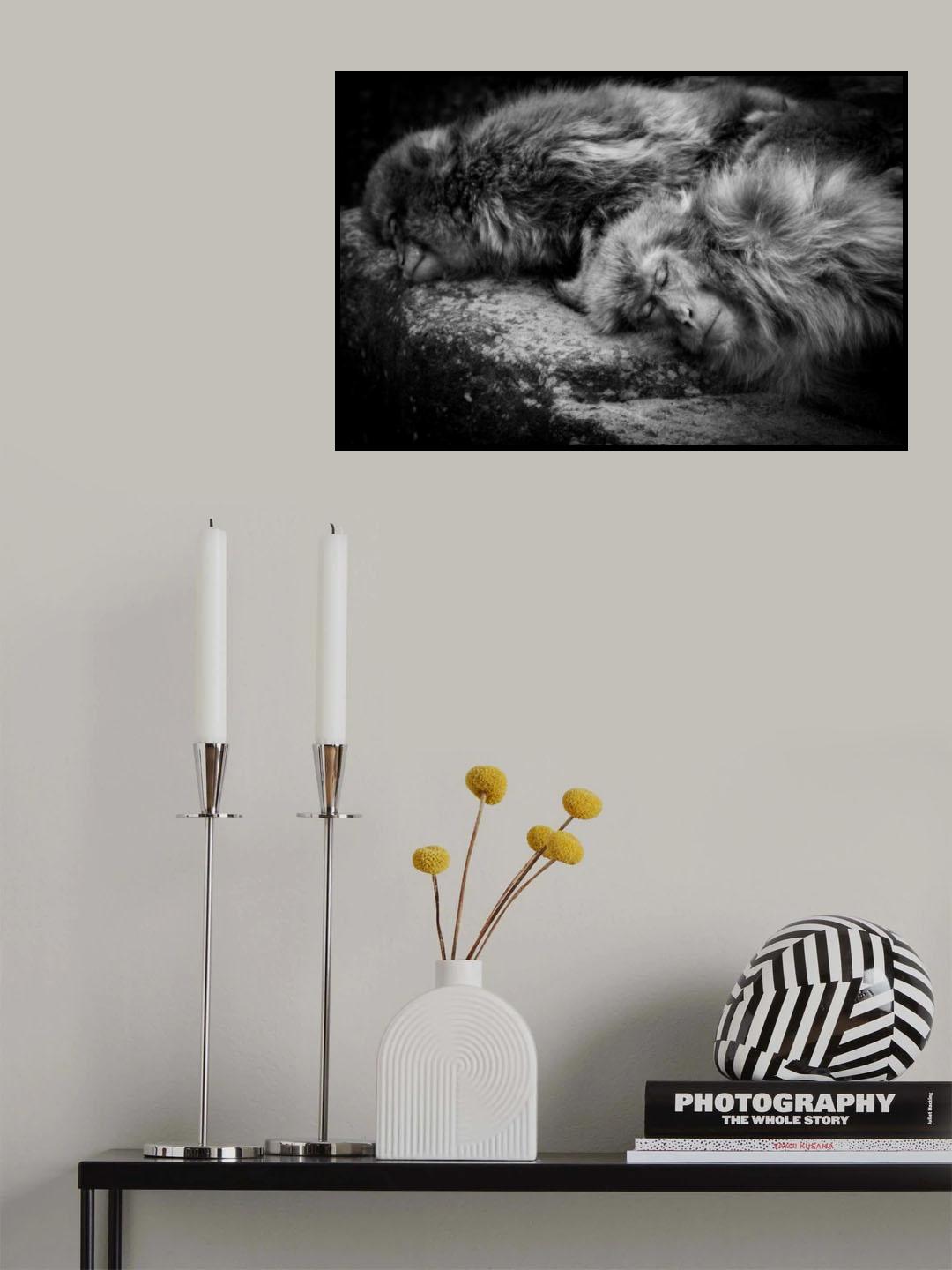 Sleeping Poster och Canvastavla