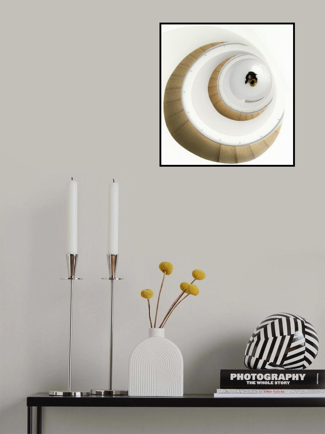 Musician. Poster och Canvastavla
