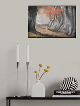 Twisted beeches Poster och Canvastavla