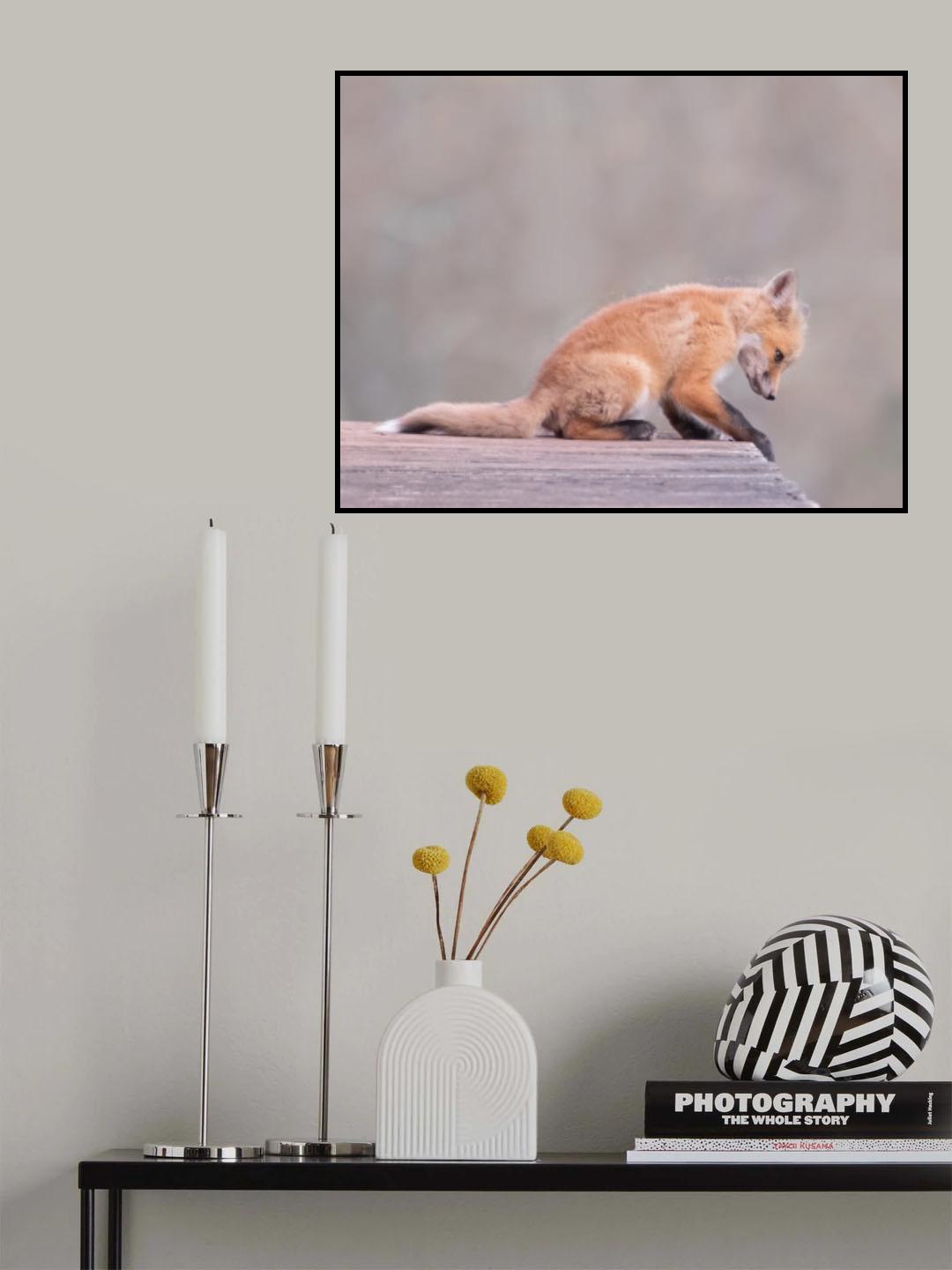 Porch Fox Poster och Canvastavla