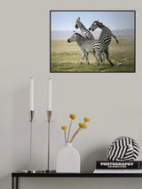 Boy, look who is talking! Poster och Canvastavla