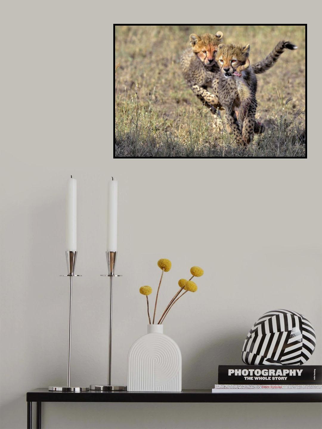 Hare tail hunt Poster och Canvastavla