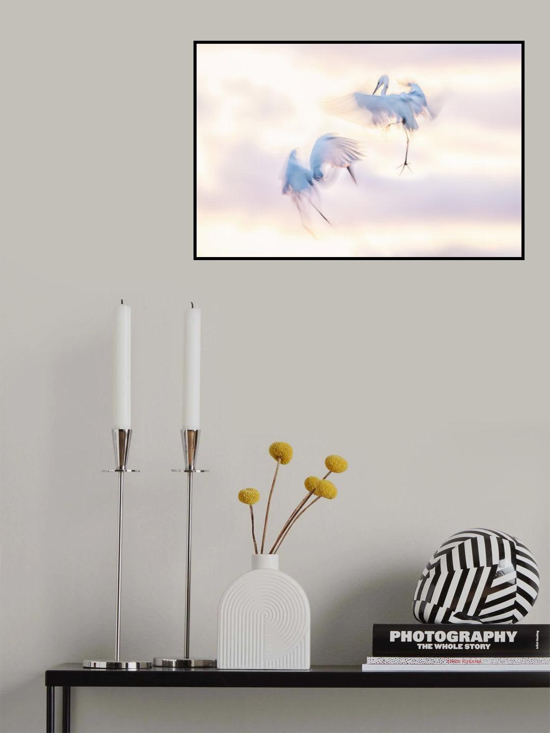 Ballet in the air Poster och Canvastavla