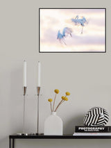 Ballet in the air Poster och Canvastavla