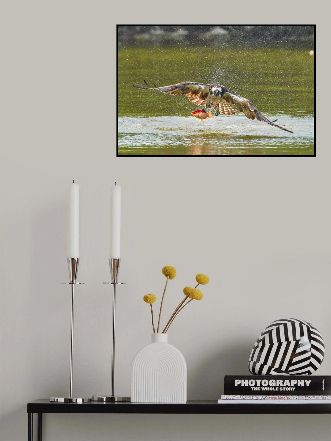 Splashing... Poster och Canvastavla