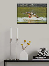 Splashing... Poster och Canvastavla