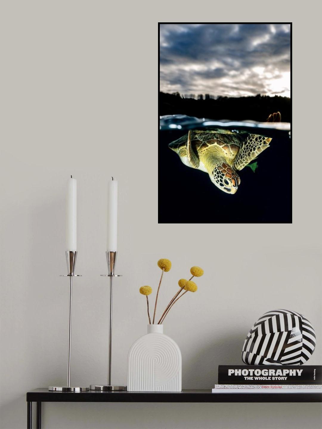 Surface Poster och Canvastavla