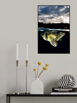 Surface Poster och Canvastavla