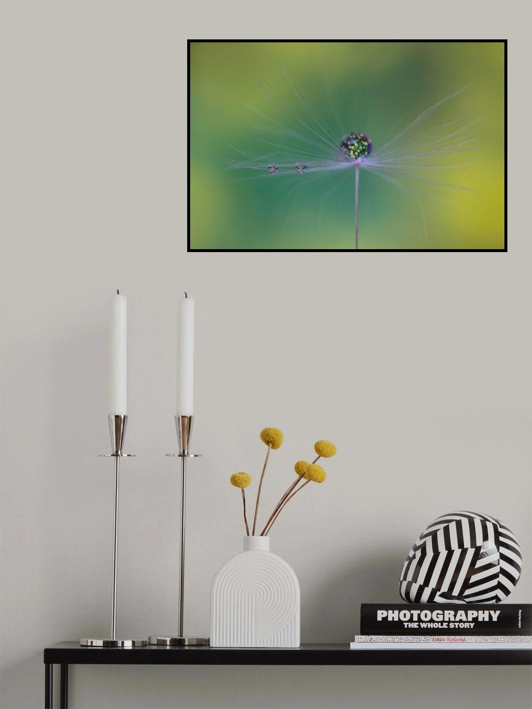 Magic bunch Poster och Canvastavla