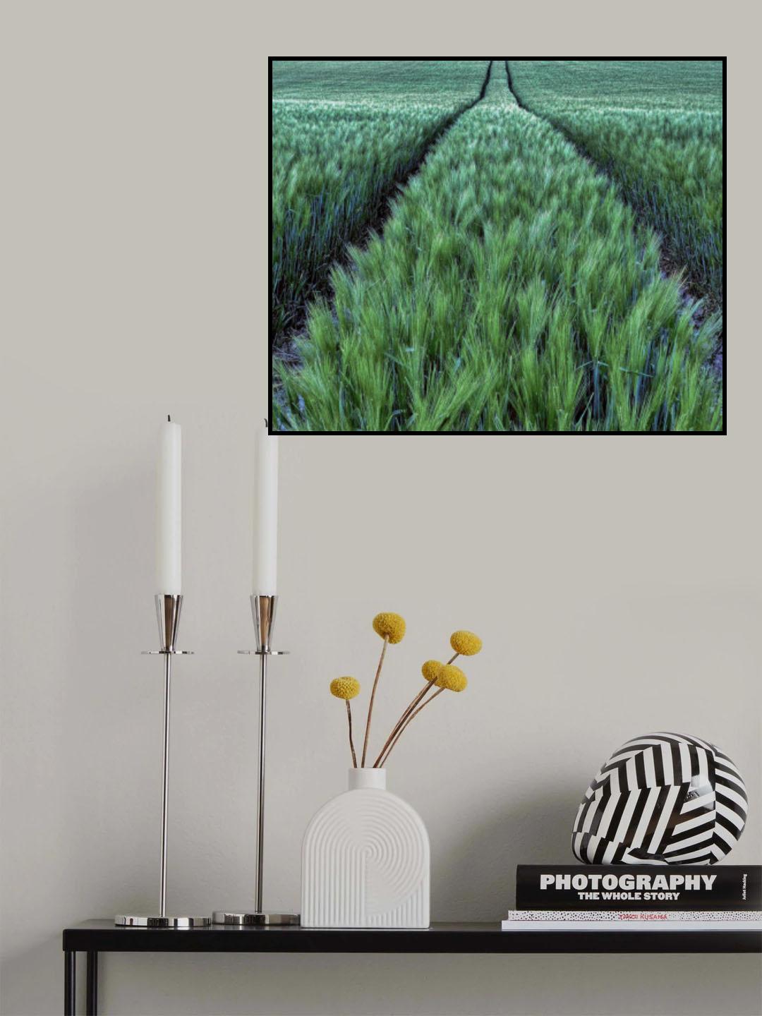 Les céréales Poster och Canvastavla