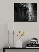 lonely Poster och Canvastavla