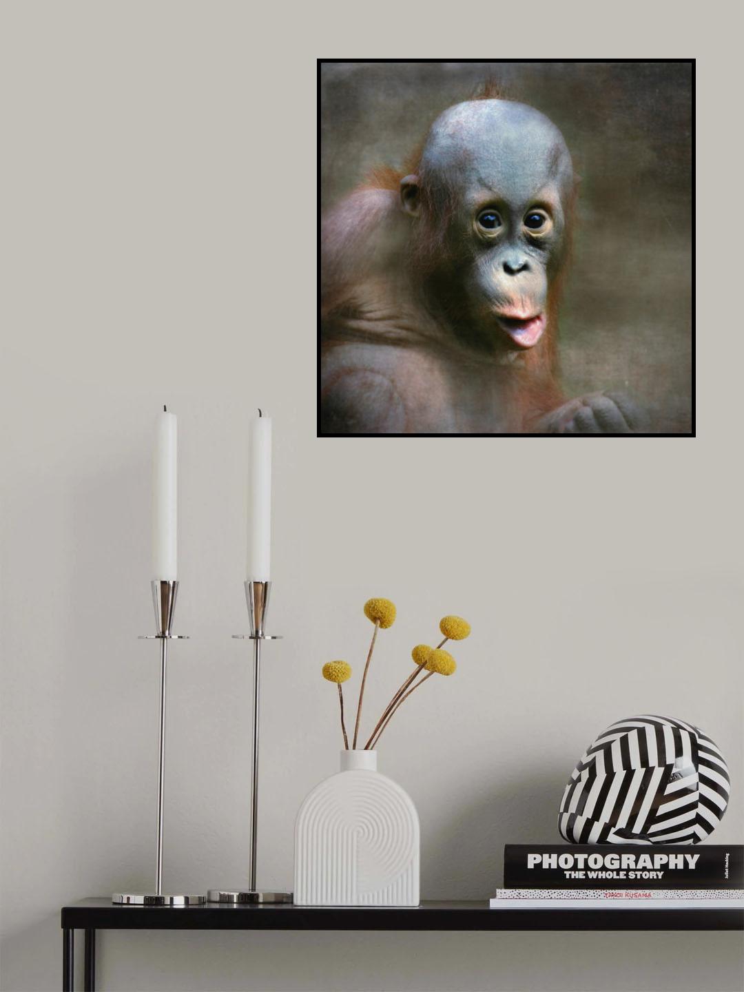 young Orang Utan Poster och Canvastavla