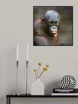 young Orang Utan Poster och Canvastavla