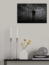 The shadow Poster och Canvastavla