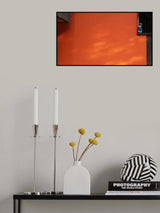 A bit shy he is.....! Poster och Canvastavla