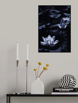 Midsummer lotus field_bi Poster och Canvastavla