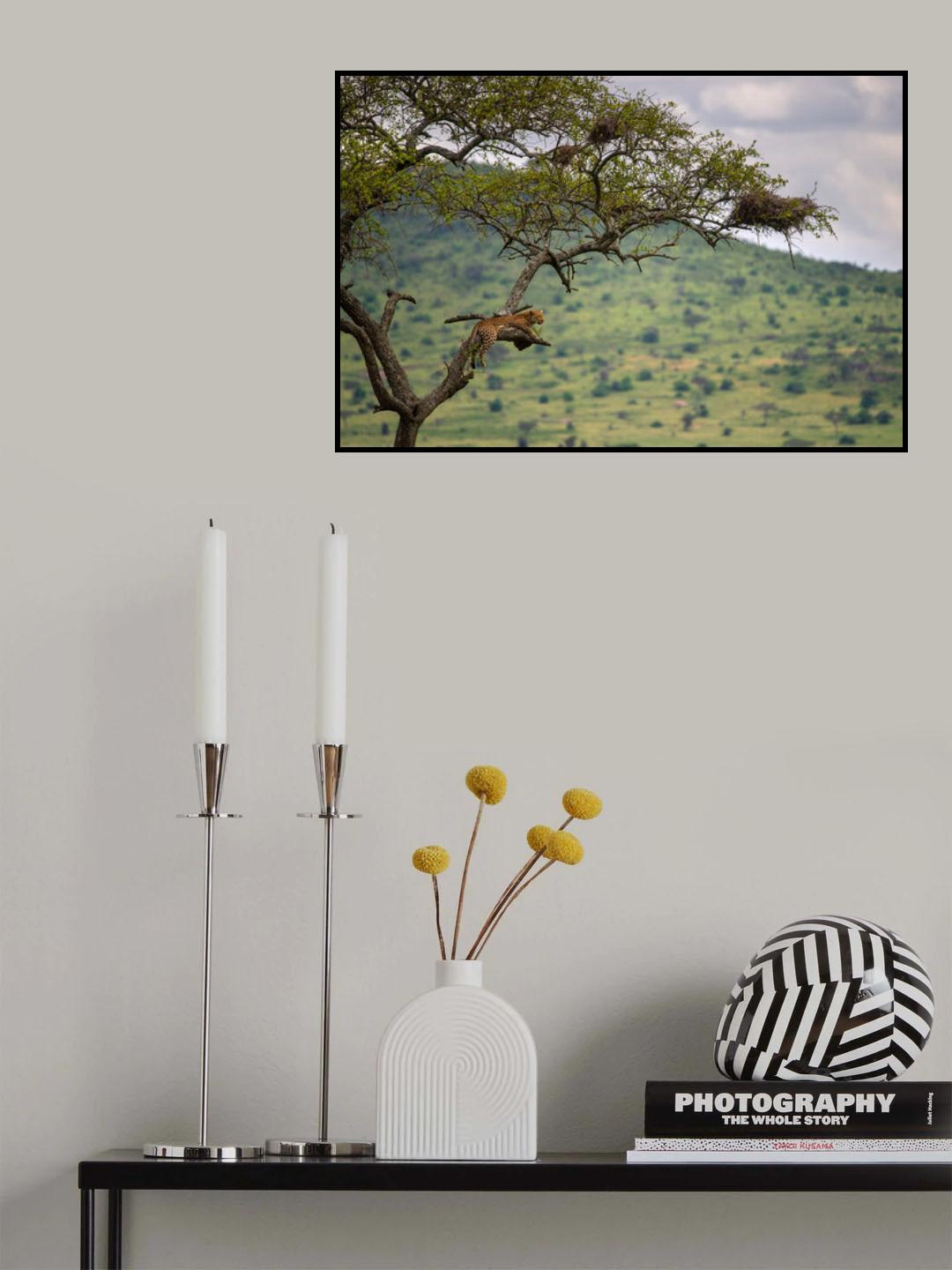 At the edge Poster och Canvastavla