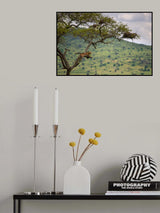 At the edge Poster och Canvastavla