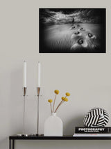 Poster och Canvastavla