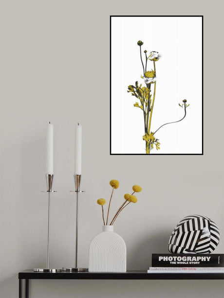 Flower Minimal Black and Gold 08 Poster och Canvastavla