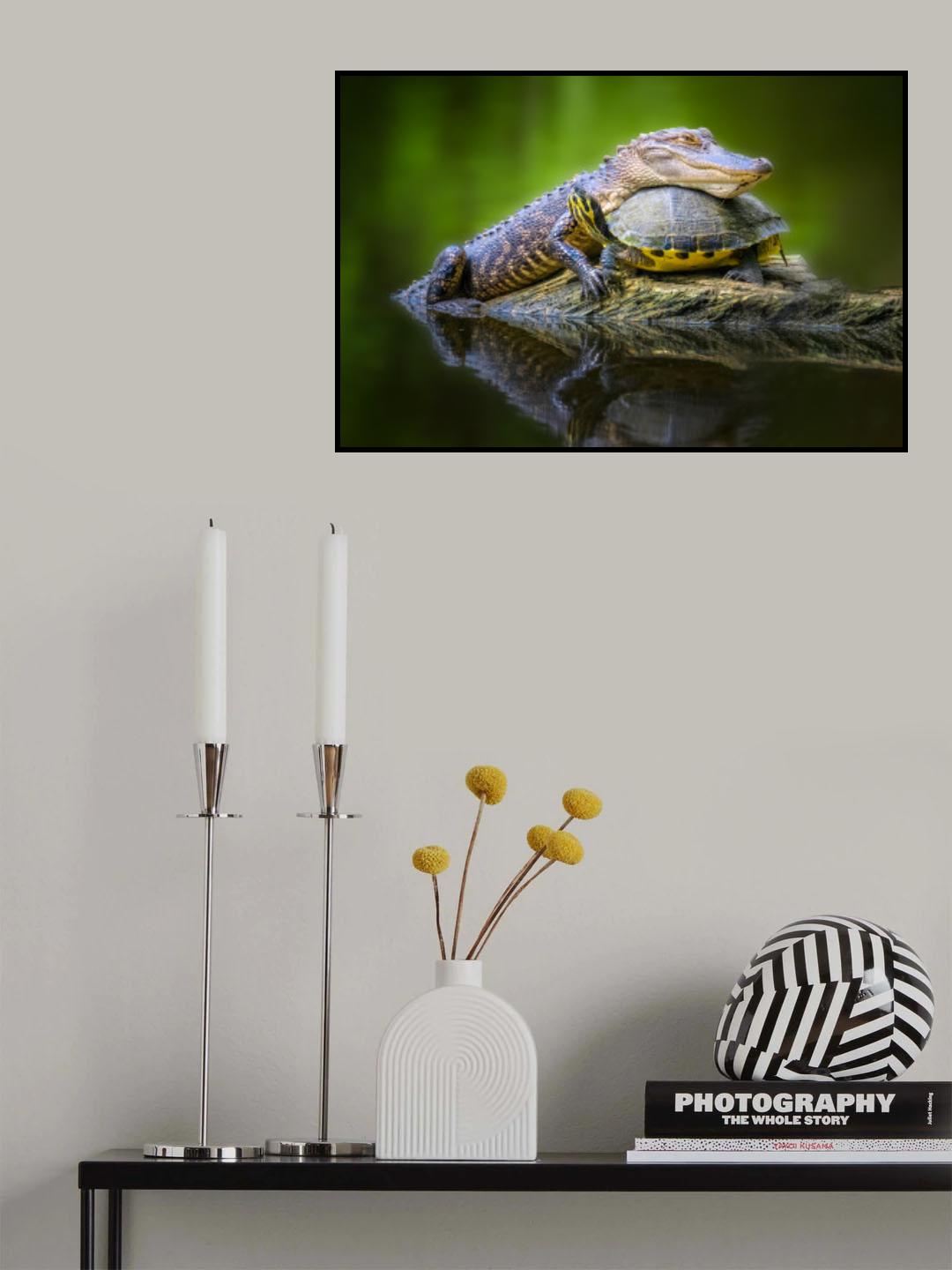 Unlikely Friends Poster och Canvastavla