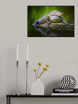 Unlikely Friends Poster och Canvastavla
