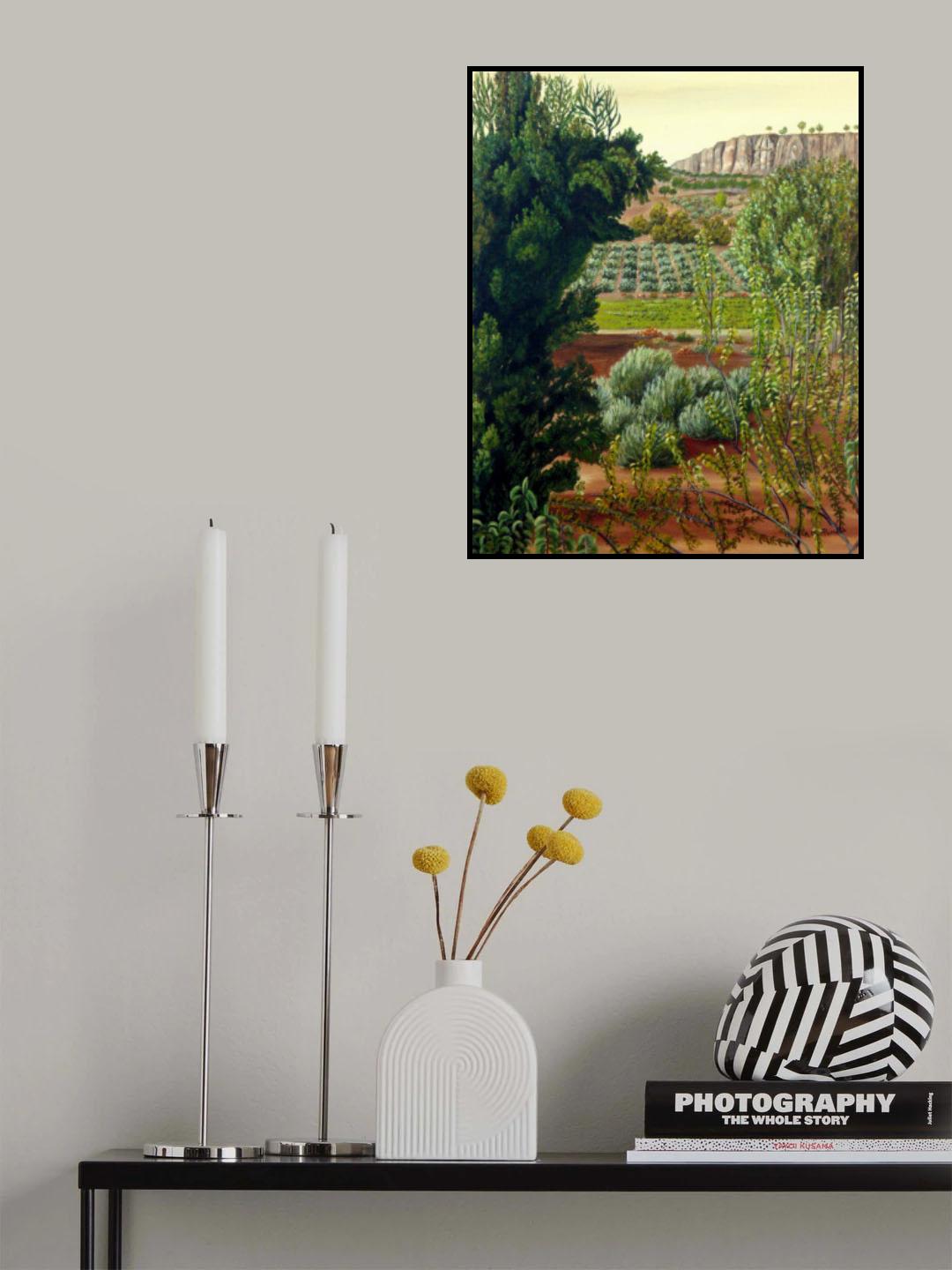 High Mountain Olive Trees Poster och Canvastavla