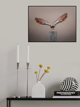 Taking off Poster och Canvastavla