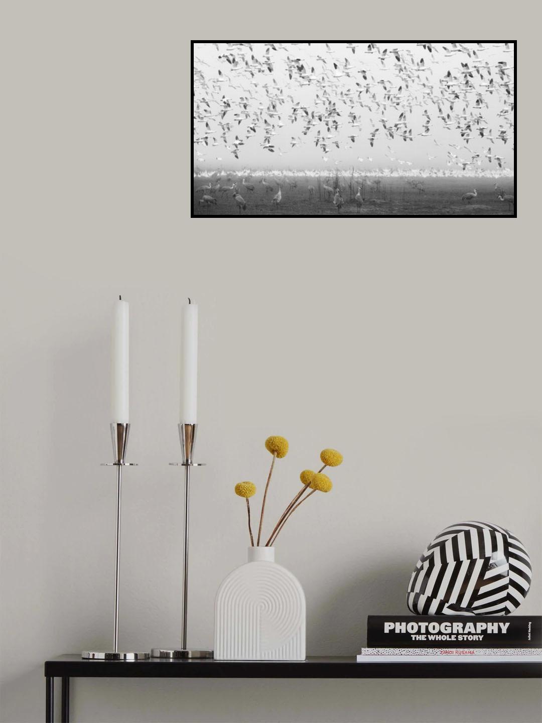 Wetland Poster och Canvastavla